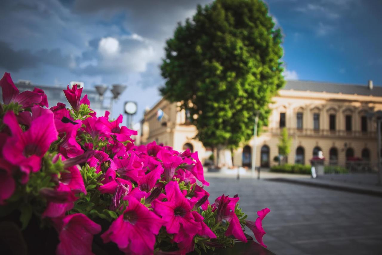Vila Rosa Vukovar Bagian luar foto
